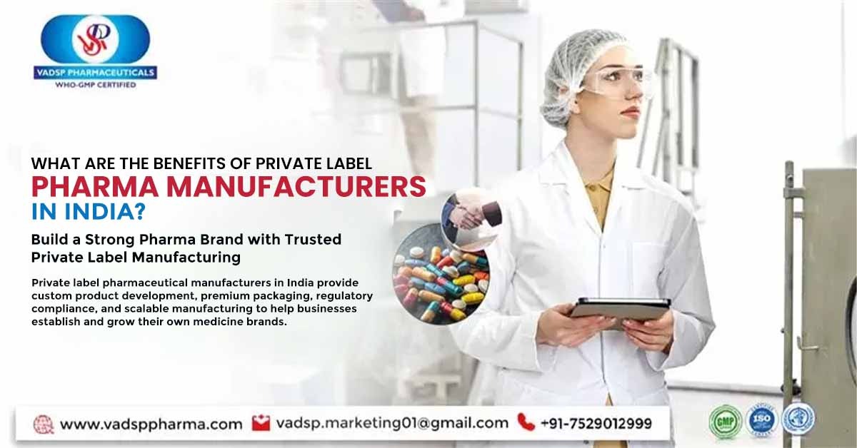 What Are the Benefits of Partnering with Private Label Pharma Manufacturers in India | Vadsp Pharmaceuticals